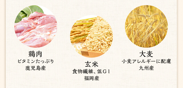 鶏肉 ビタミンたっぷり鹿児島産 玄米 食物繊維、低ＧＩ福岡産 大麦 小麦アレルギーに配慮九州産