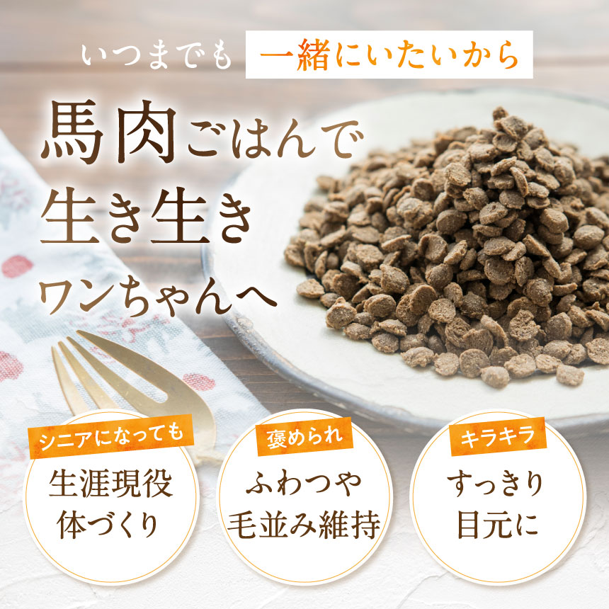 健康いぬ生活