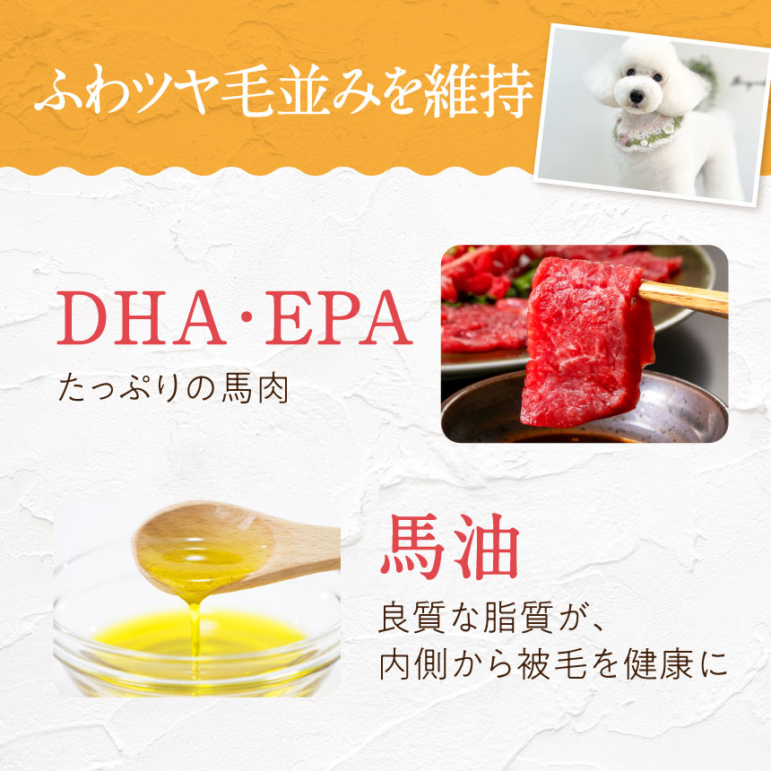 健康いぬ生活