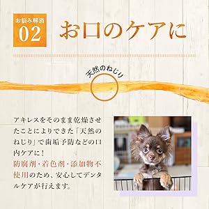 安心のデンタルケアを