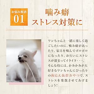 カミカミが好きなワンちゃんへ