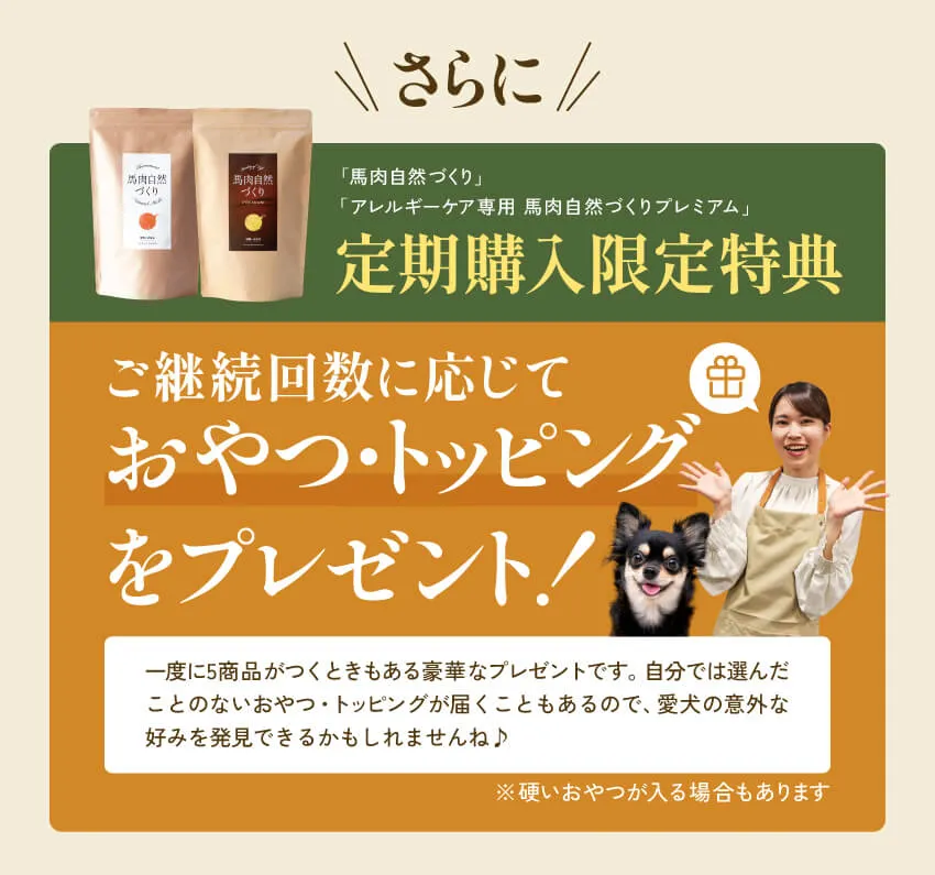 健康いぬ生活