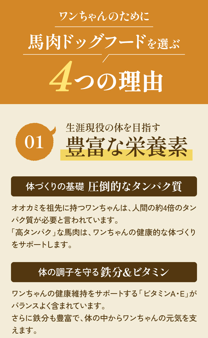 健康いぬ生活