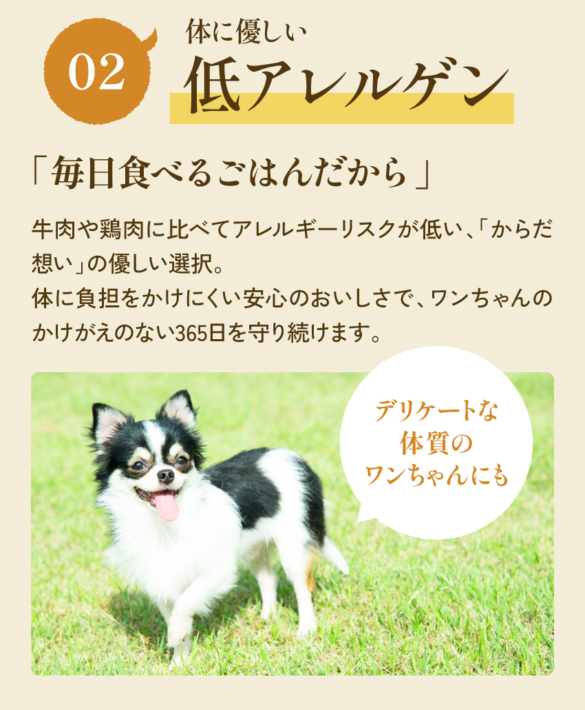 健康いぬ生活