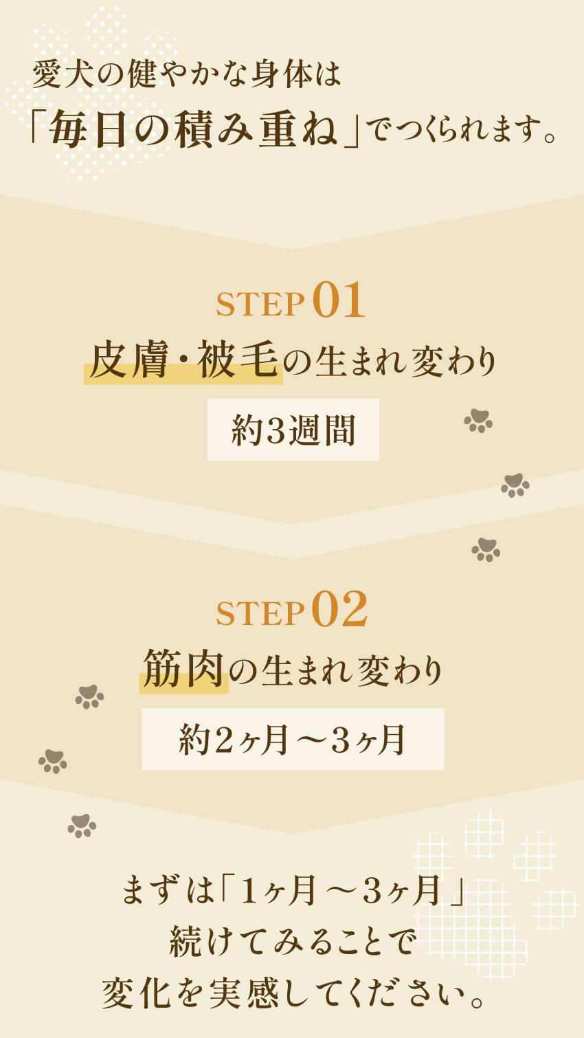 健康いぬ生活