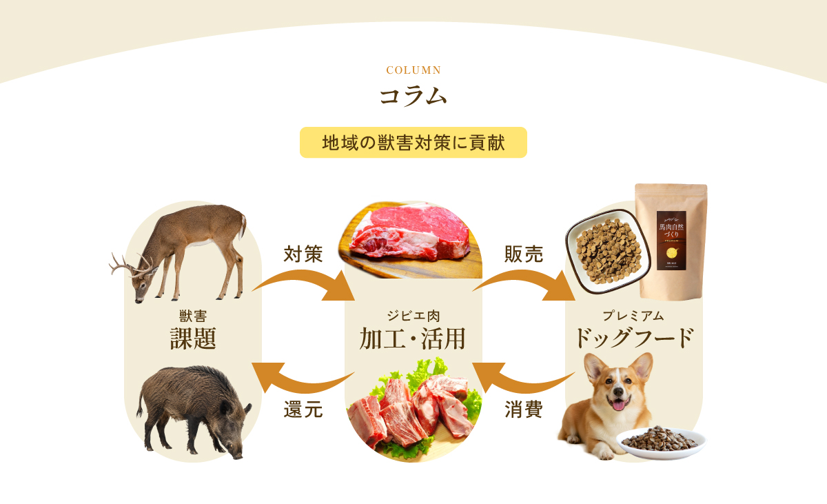 健康いぬ生活