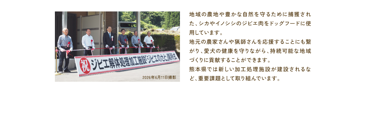 コラム内写真