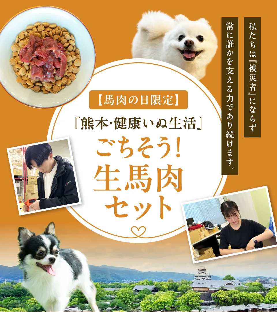 【熊本・健康いぬ生活】ごちそう！生馬肉セット