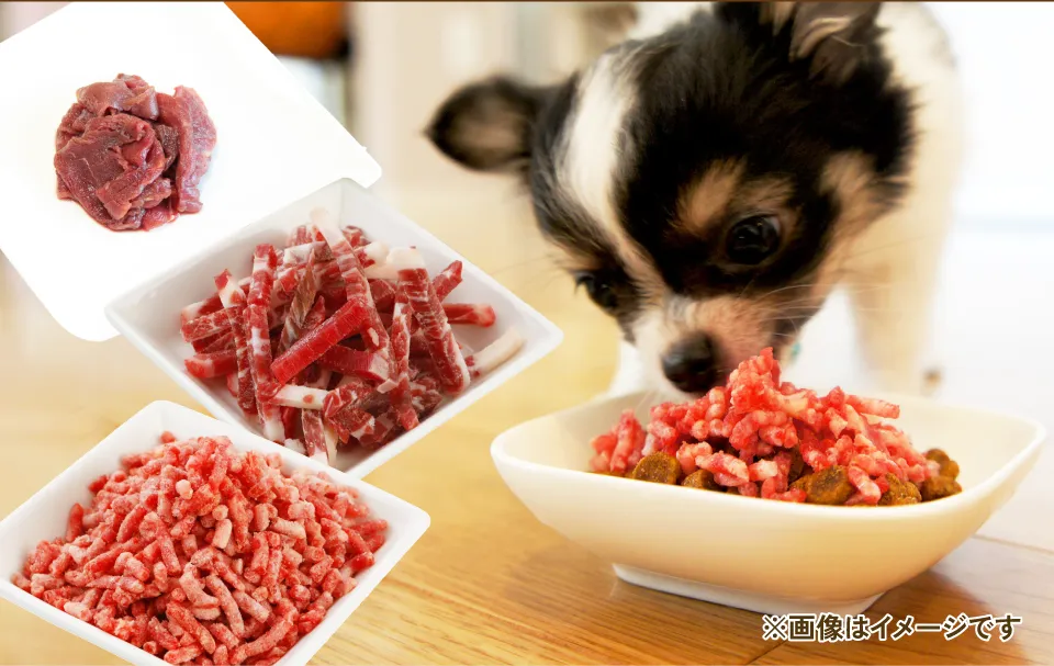 生馬肉を食べる様子 1
