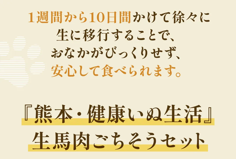 『熊本・健康いぬ生活』生馬肉ごちそうセット