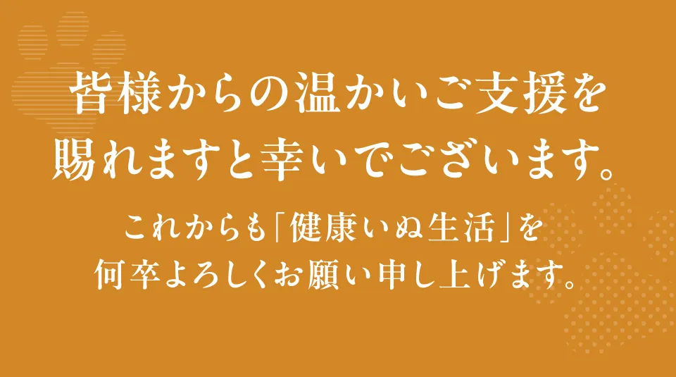 メッセージ4