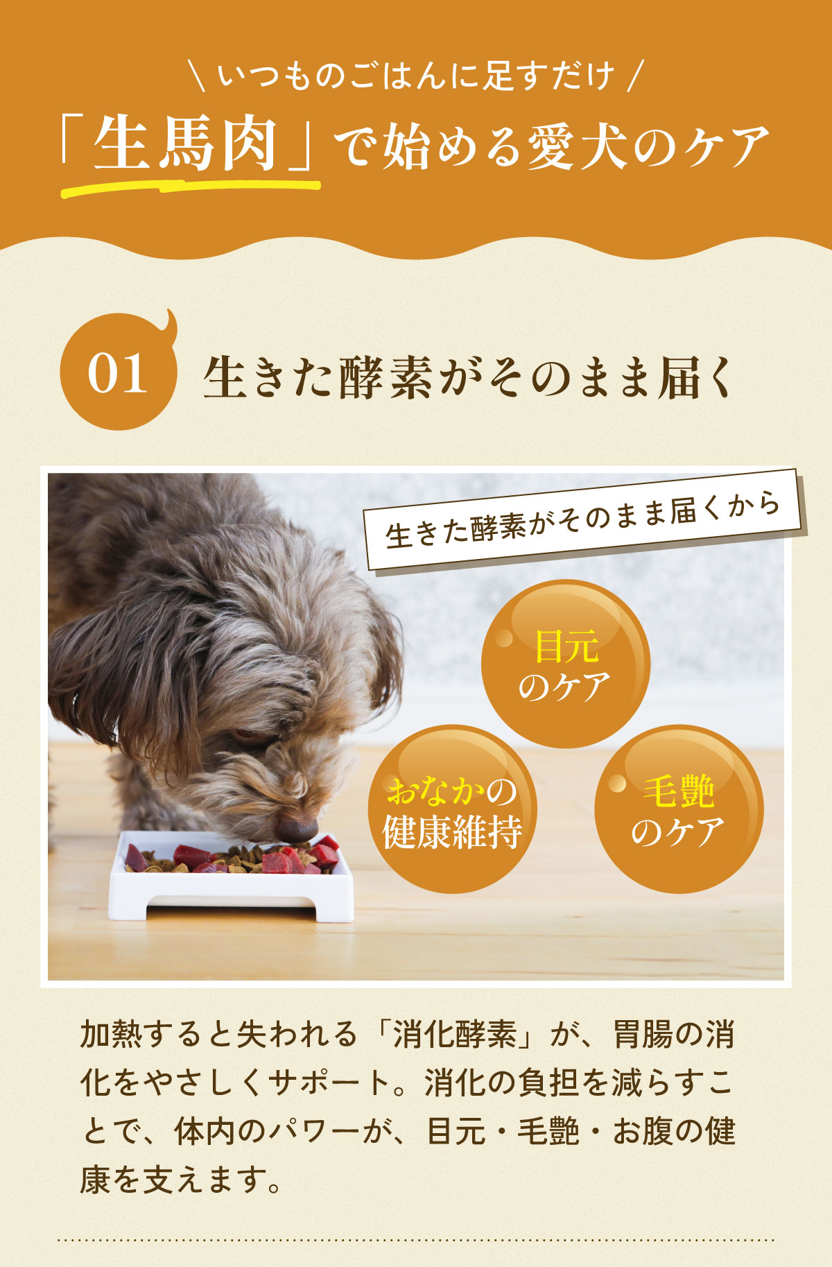 生馬肉で始める愛犬のケア