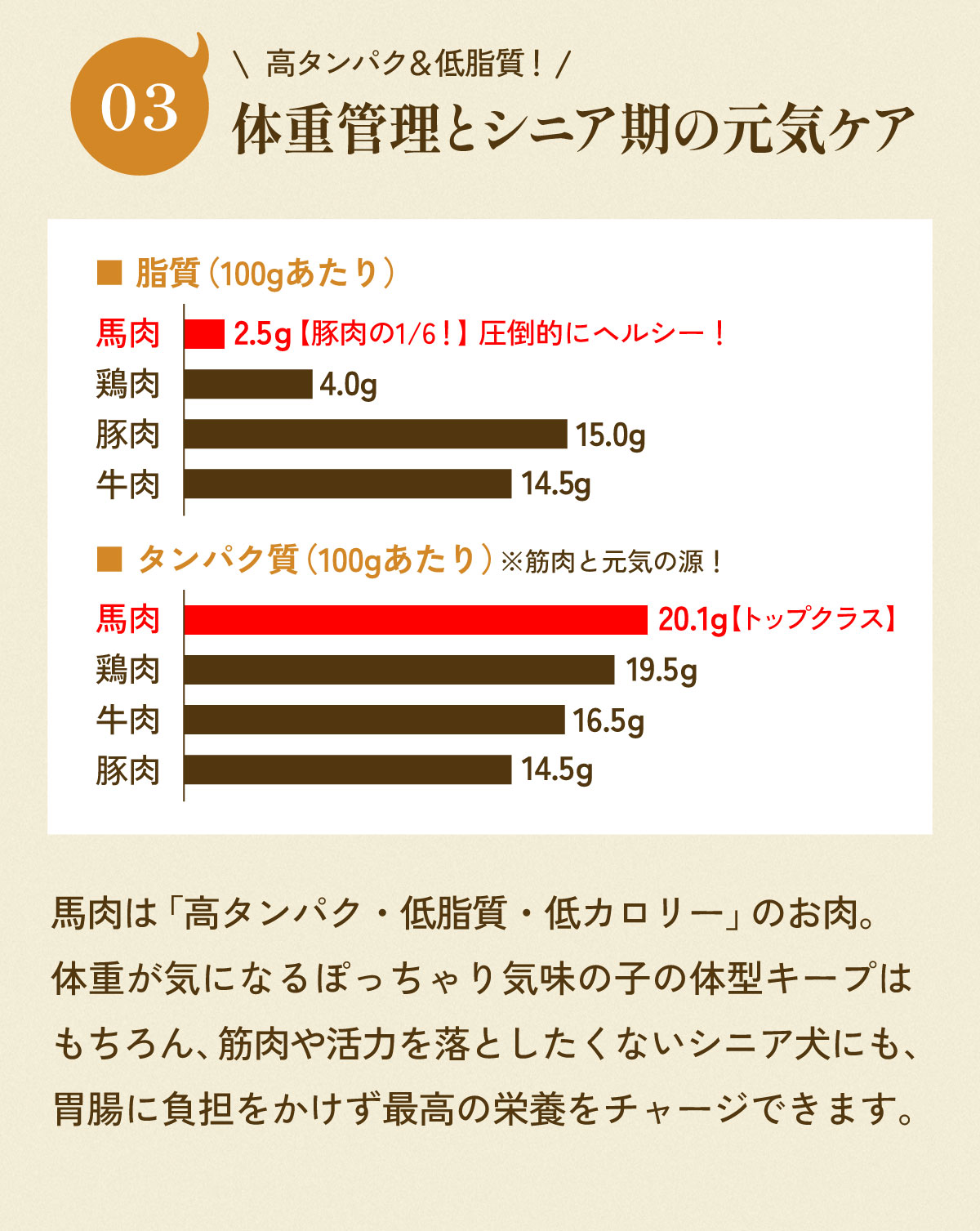 体重管理とシニア期の元気ケア