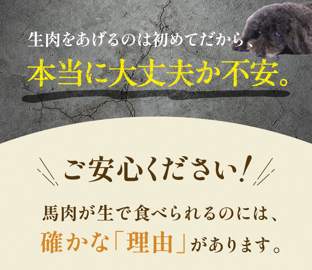 生肉をあげるのは初めてだから大丈夫か不安