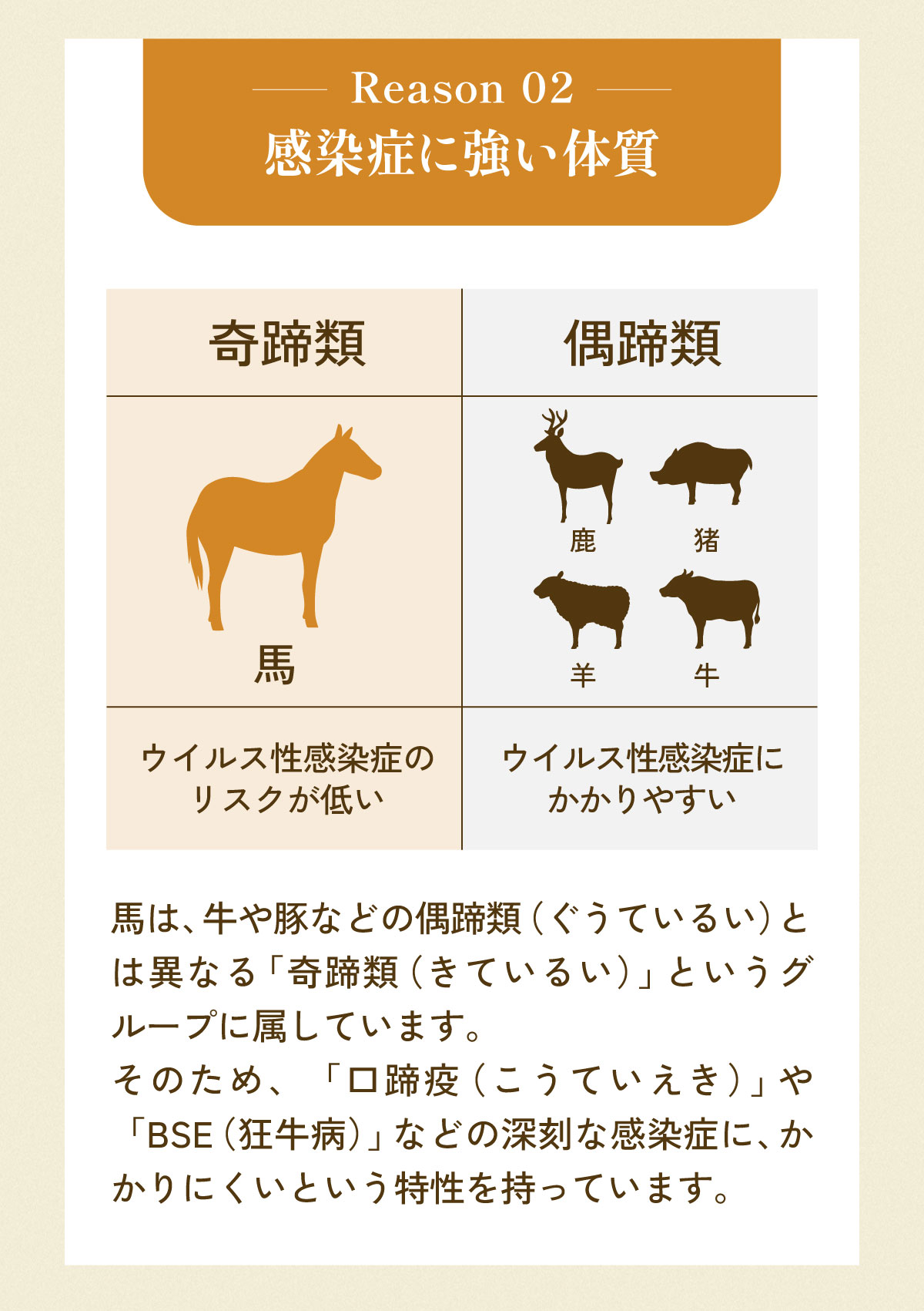理由2
