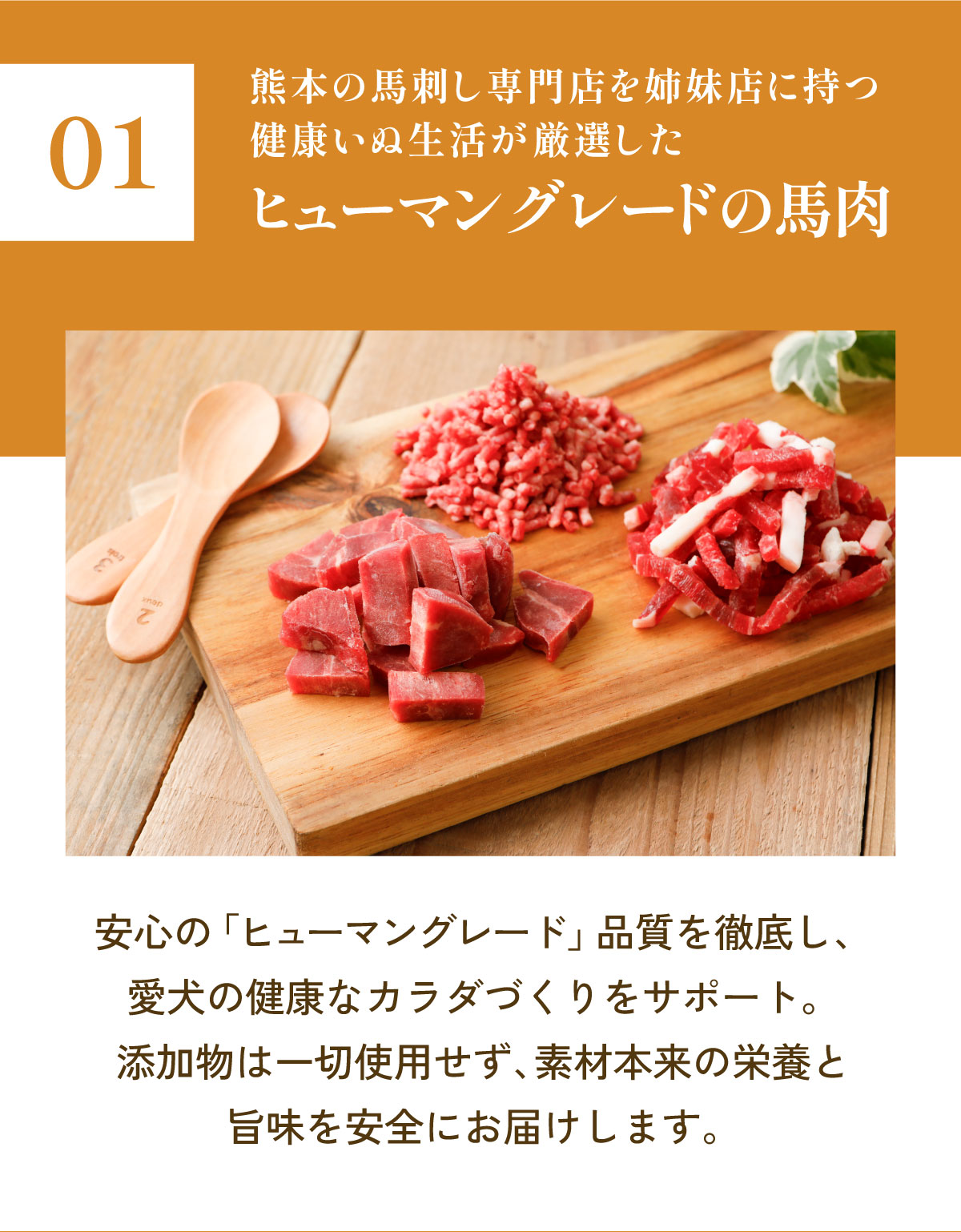 ヒューマングレードの馬肉