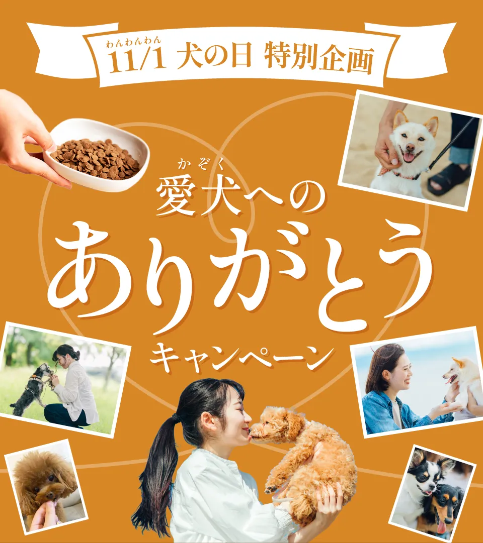 愛犬へのありがとうキャンペーン
