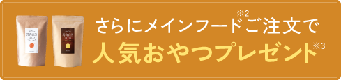 さらにメインフードご注文で人気おやつプレゼント