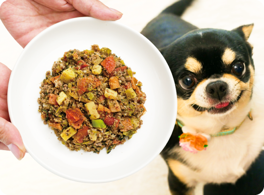 健康いぬ生活 フレッシュ