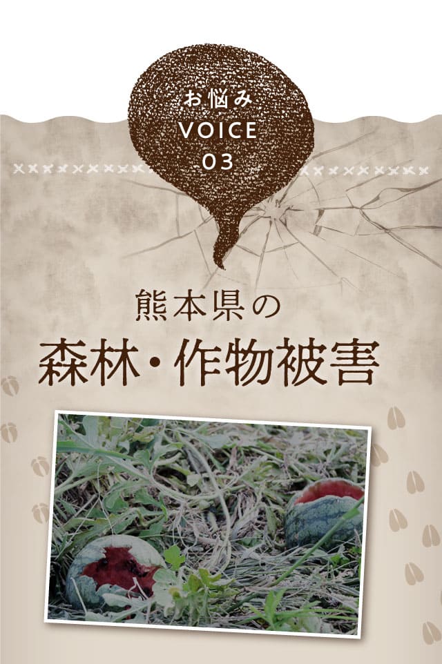 お悩みVOICE03　熊本県の森林・作物被害