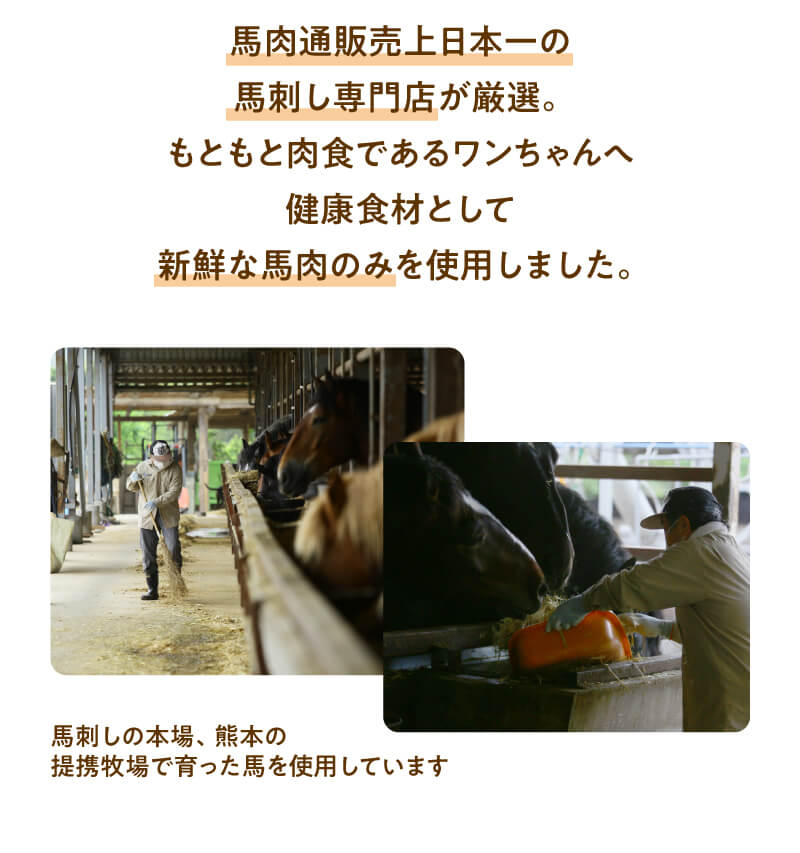 馬肉通販売上日本一の馬刺し専門店が厳選