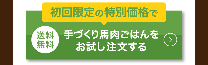 初回限定の特別価格で手作りごはんをお試し注文する