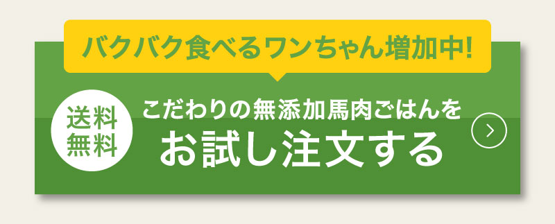 バクバク食べるワンちゃん増加中！こだわりの無添加馬肉ごはんをお試し注文する