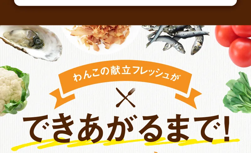 ドッグフード 手作り フレッシュフード 出来上がるまで 製造工程 原料 無添加 