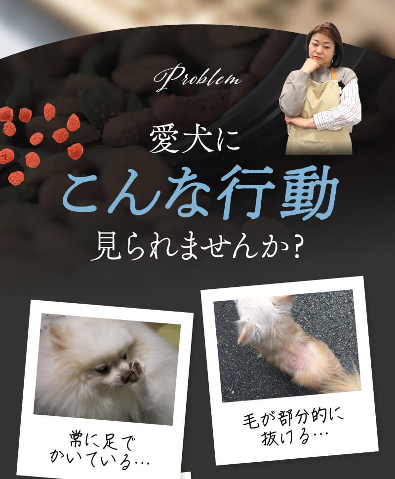 愛犬にこんな行動見られませんか？