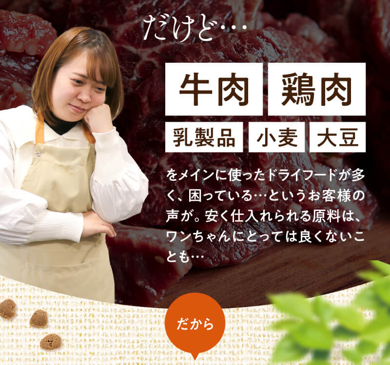 牛肉、鶏肉、乳製品、小麦、大豆使用されているドッグフードが多数