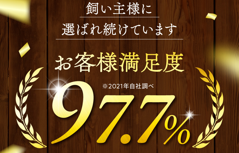 お客様満足度97.7％