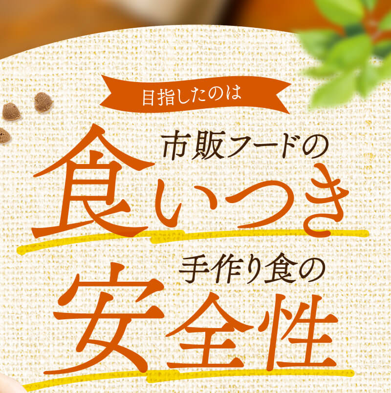 市販フードの食いつき、手作り食の安全性