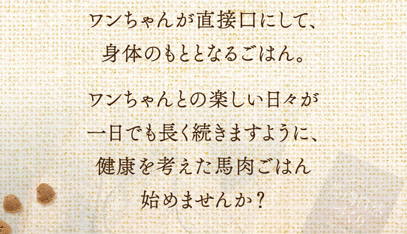 ワンちゃんが口にして身体のもととなるごはん