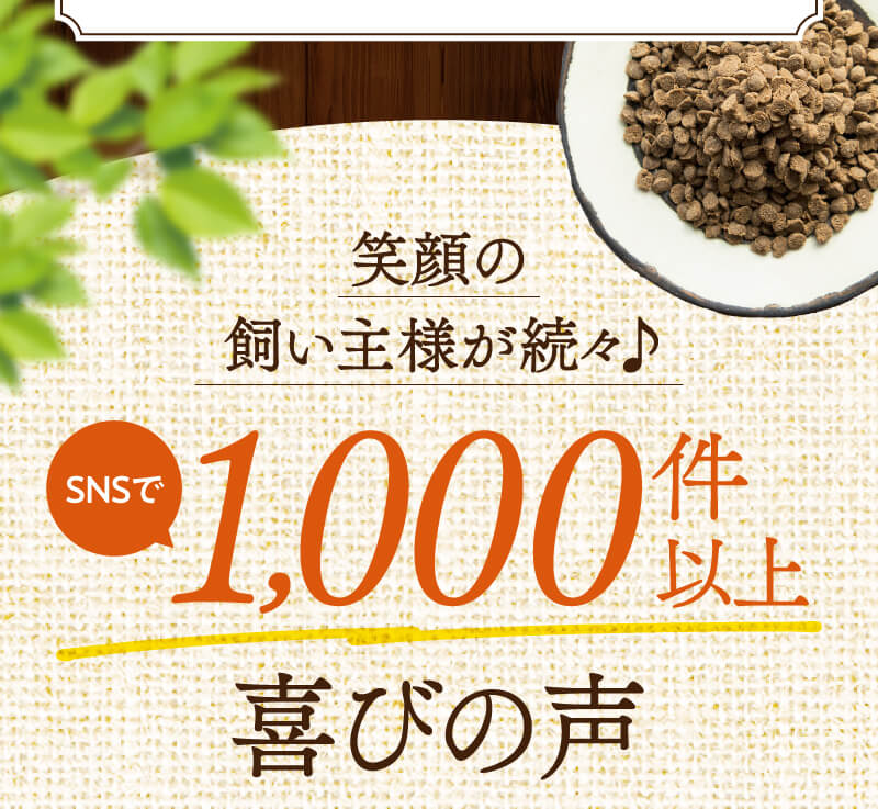 笑顔の飼い主様が続々！SNSで1000件以上喜びの声