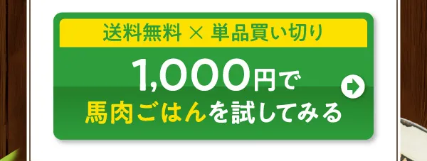 送料無料　単品買い切り　1000円で馬肉ごはんをお試し注文する