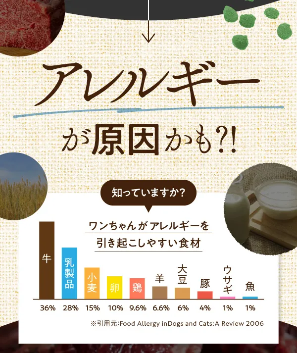 アレルギーが原因かも？！