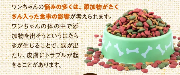 犬の悩みの多くは、添加物がたくさん入った食事の影響が考えられる