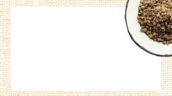 犬の食いつき　動画