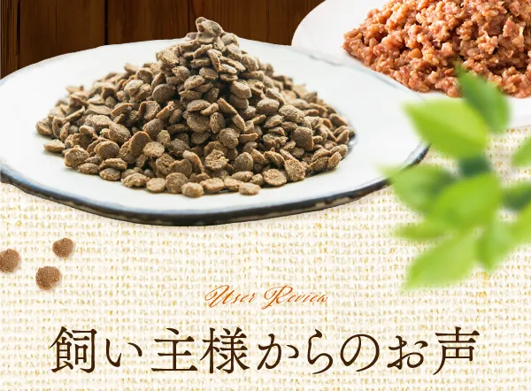 飼い主様からのお声