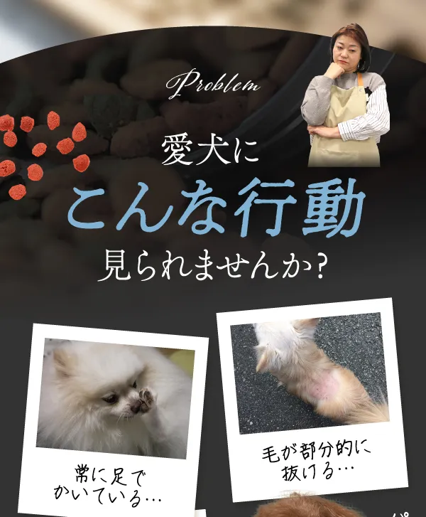 愛犬にこんな行動見られませんか？