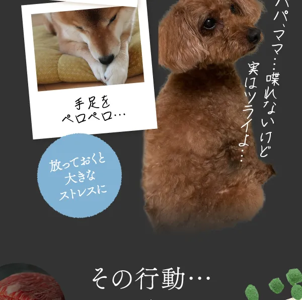 パパ、ママ・・・喋れないけど実はつらいよ・・・