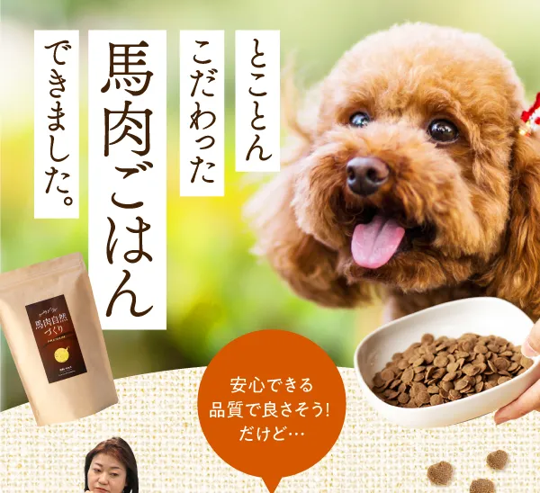 とことんこだわった馬肉ごはんできました