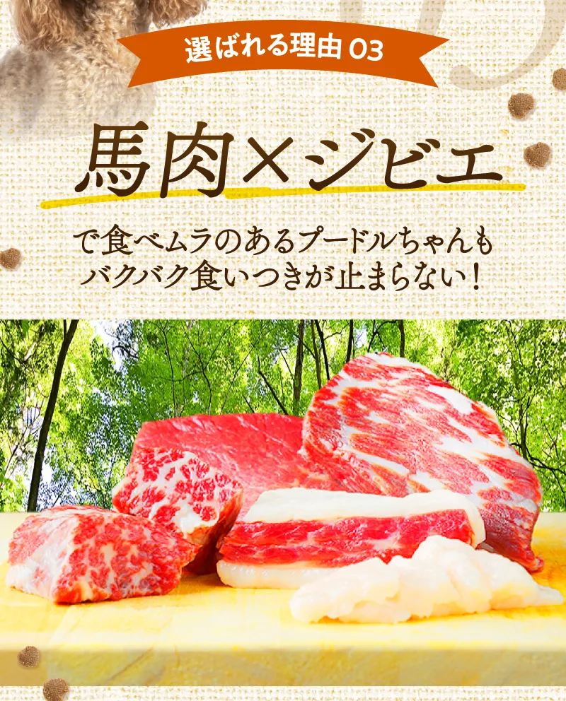 選ばれる理由03　馬肉×ジビエで本能をくすぐる食いつき