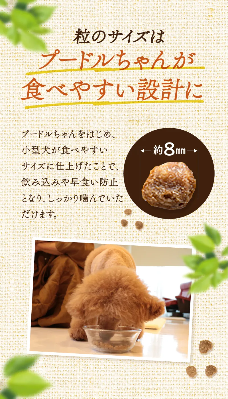 粒のサイズはプードルちゃんが食べやすい設計に