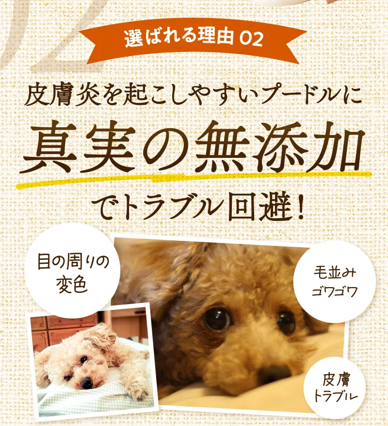 選ばれる理由02　皮膚炎を起こしやすいプードルに！真実の無添加でトラブル回避