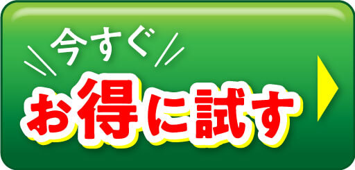 今すぐお得に試す