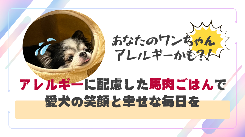 あなたのワンちゃんアレルギーかも？！アレルギーに配慮した馬肉ごはんで愛犬の笑顔と幸せな毎日を
