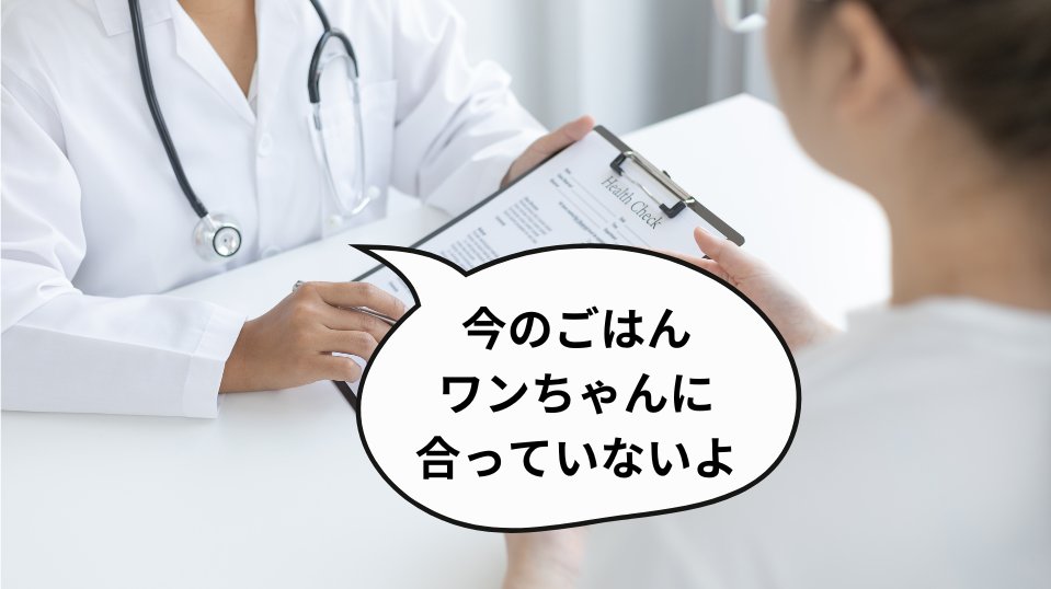 今のごはんワンちゃんに合っていないよ