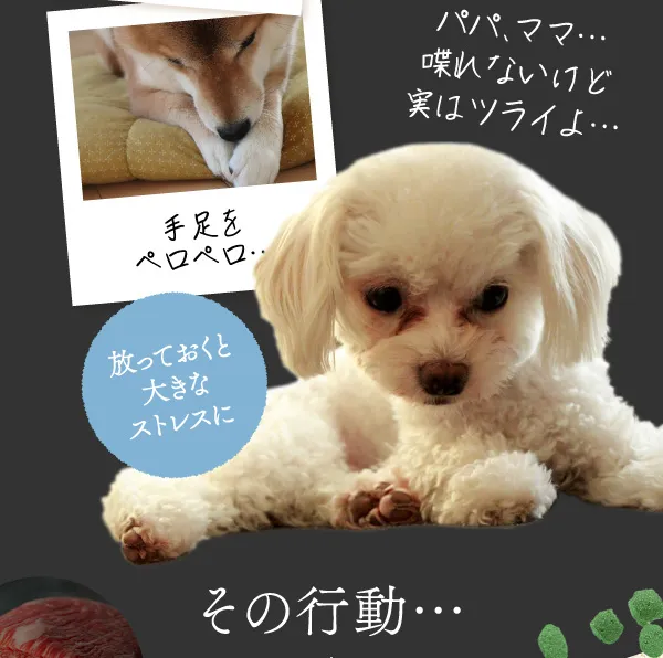 パパ、ママ・・・喋れないけど実はつらいよ・・・