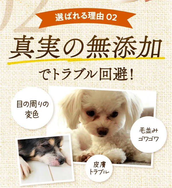 選ばれる理由02　真実の無添加でトラブル回避